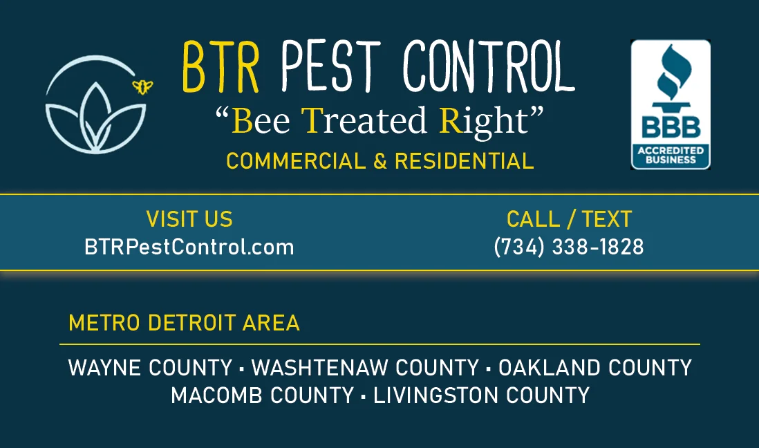 Local Business Card Design